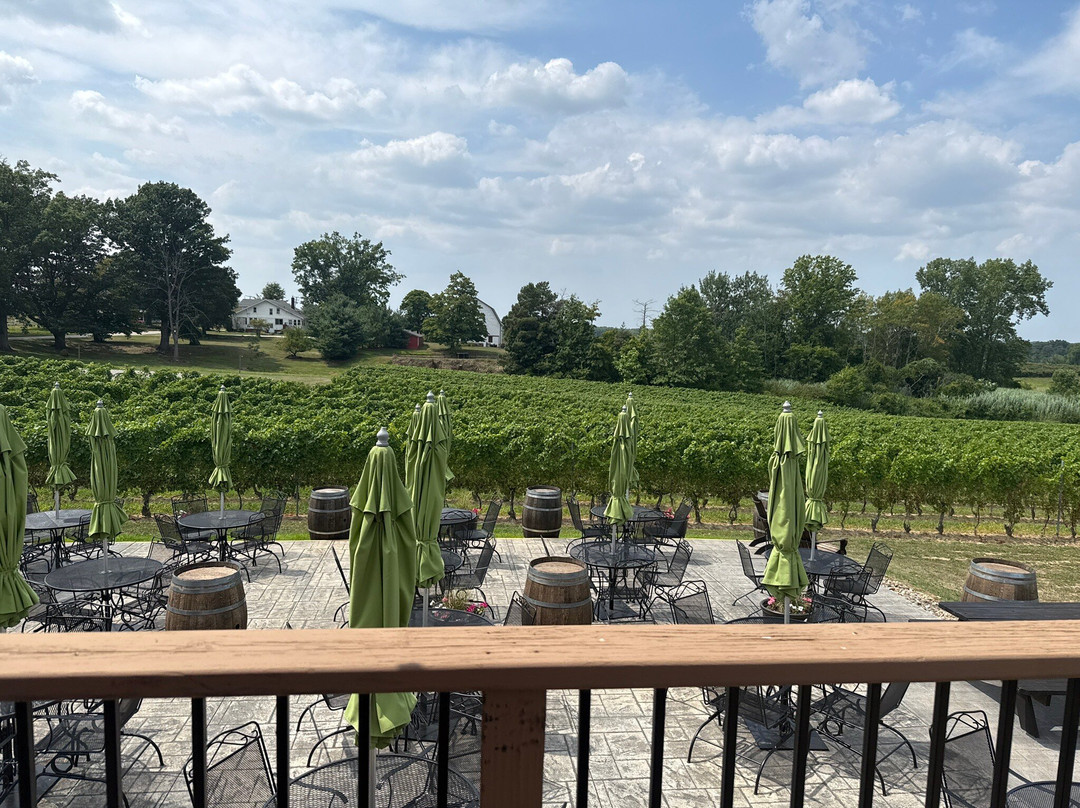 M Cellars-Geneva必去景点