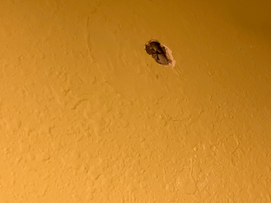 Super 8 by Wyndham Osseo主图