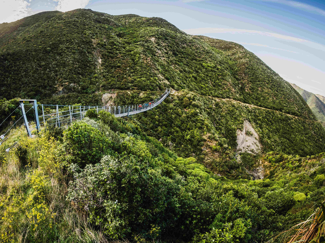 Cycle Remutaka-下赫特必去景点