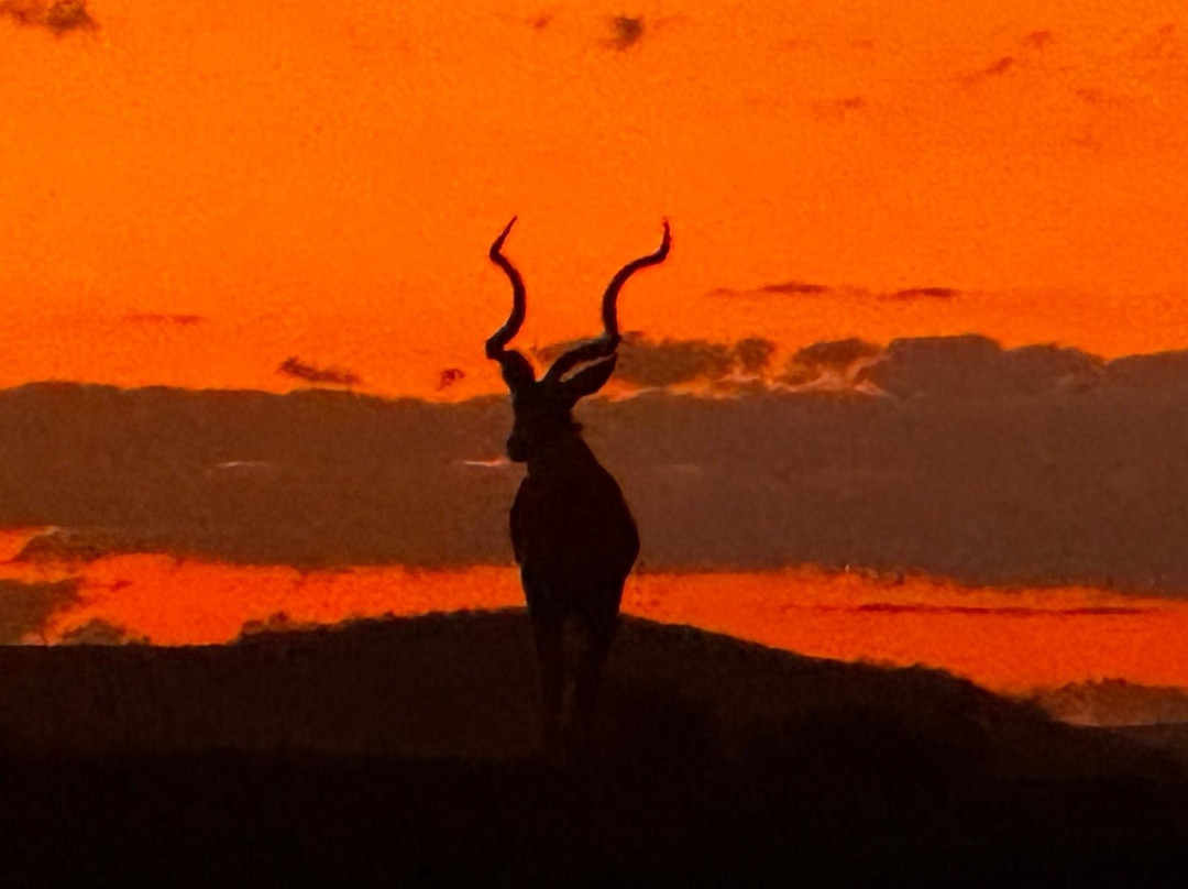 J&l Private Safaris-Chirundu必去景点