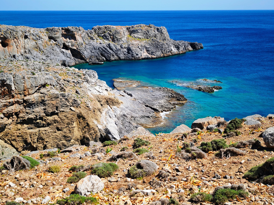 MoozArt - Wood Art Workshop-马塔拉必去景点