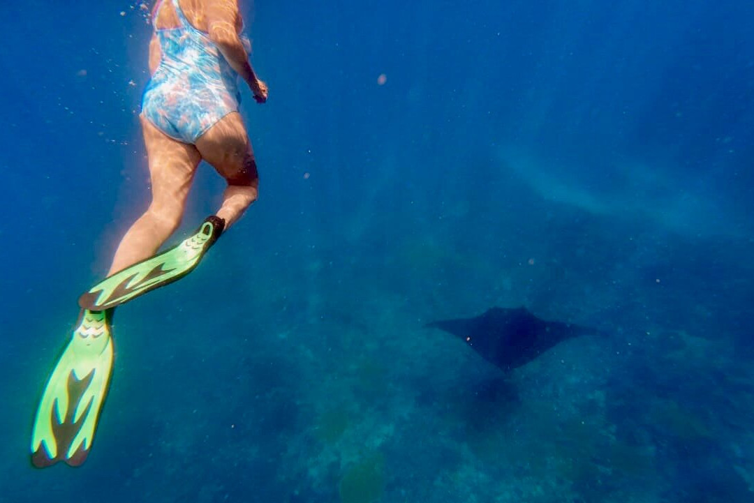 Captain Yin Yang-Pejukutan必去景点