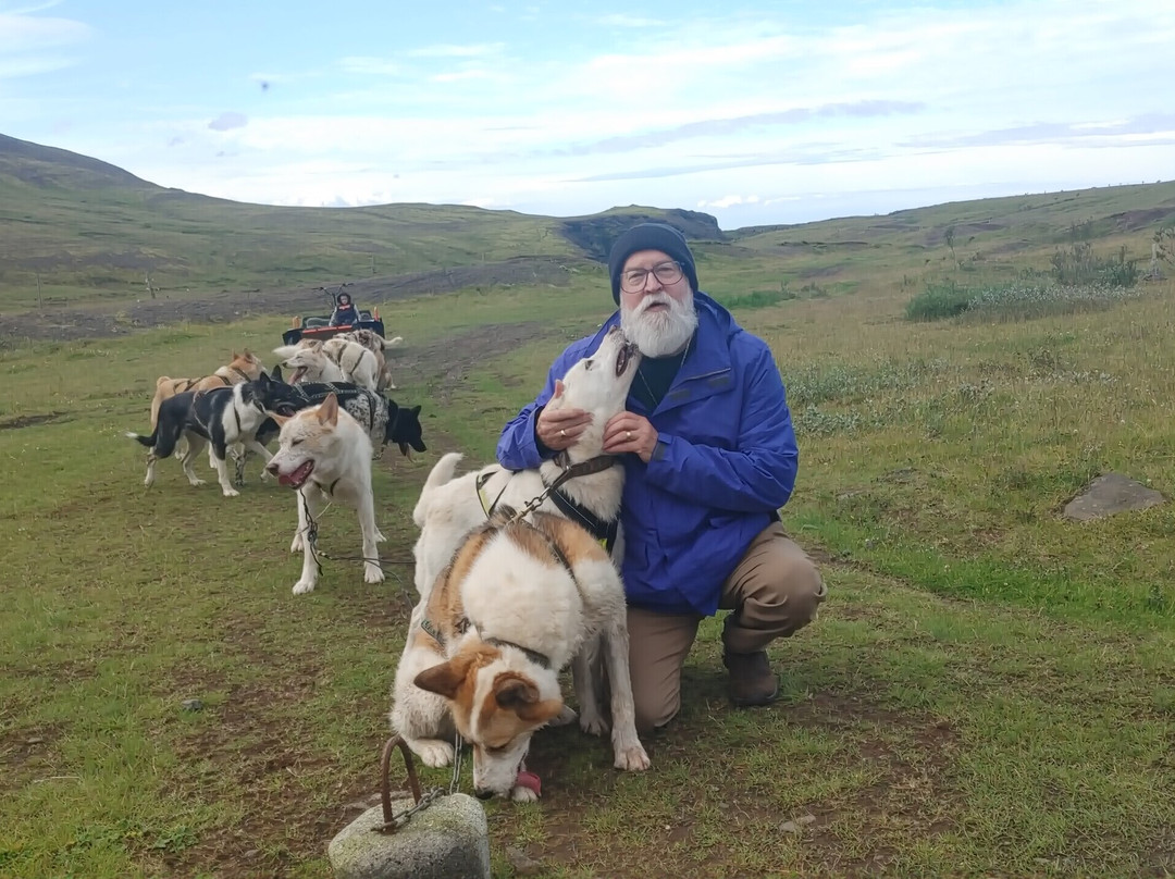 Dogsledding Iceland-莫斯费德斯拜尔必去景点