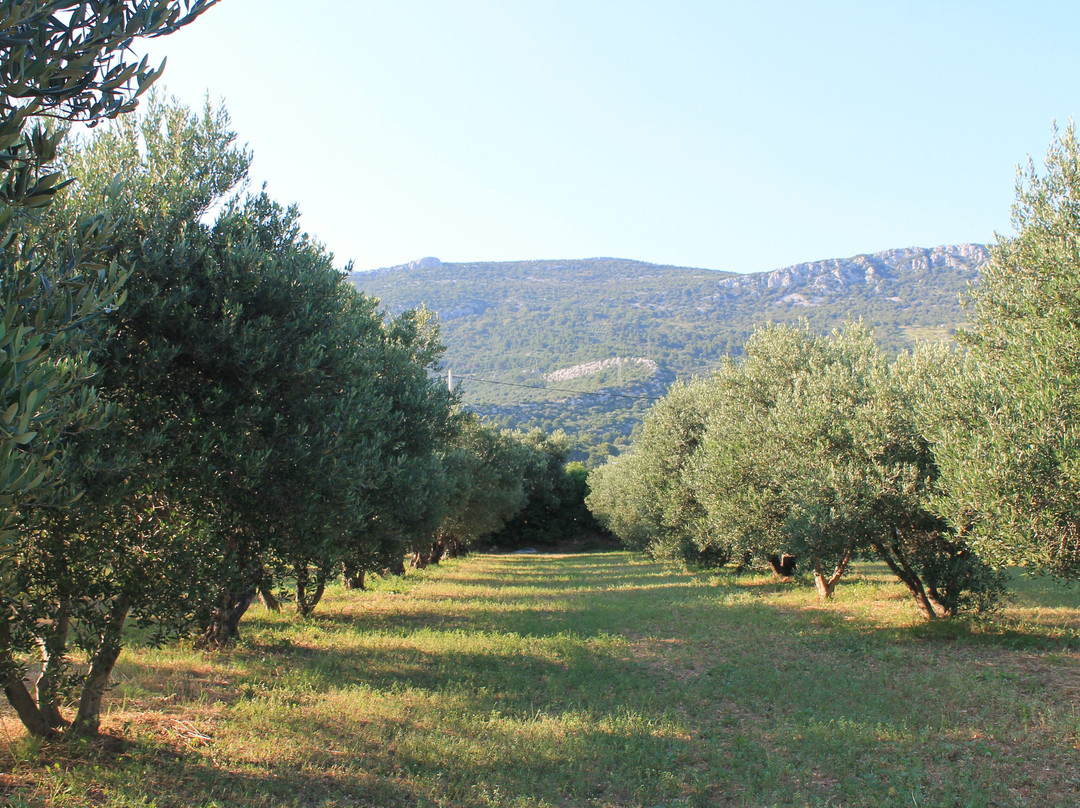 OPG Pensa Family Farm-Kastel Luksic必去景点