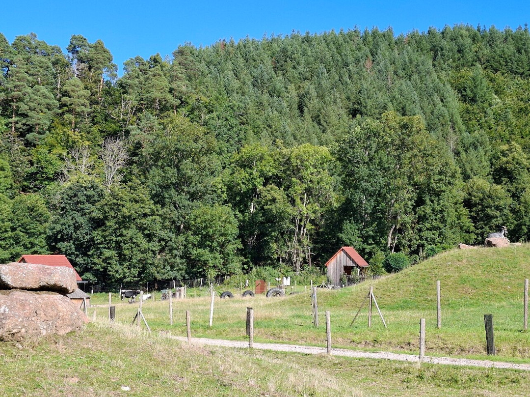 La Ferme D'argentin-Liepvre必去景点