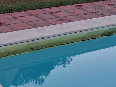 马查多斯农场 - 乡间酒店和Spa主图