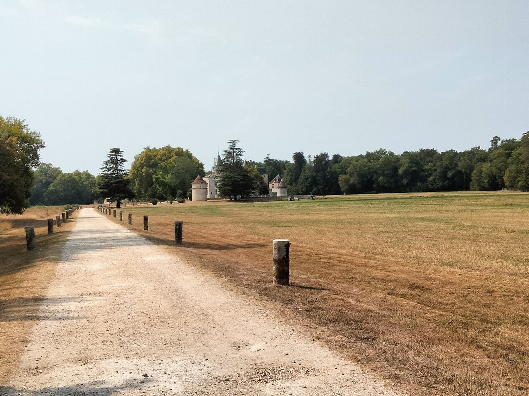 Château de La Brède - Montesquieu-La Brede必去景点