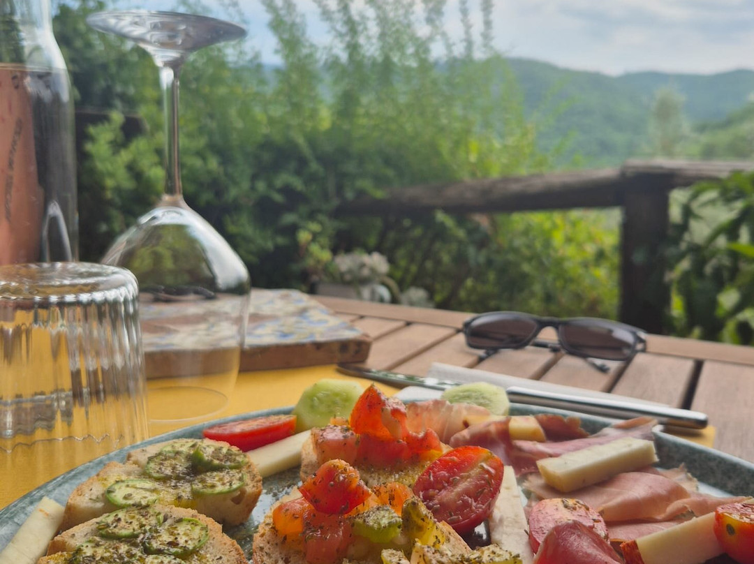 Poggi del Chianti Winery-卡夫里利亚必去景点