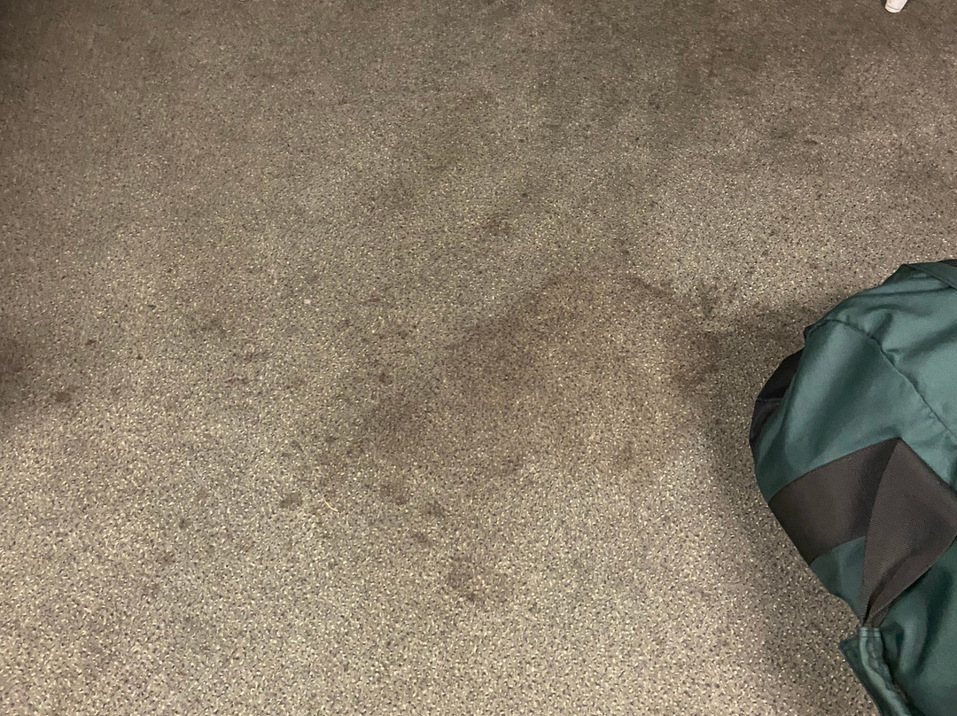 Mount Blue Motel主图