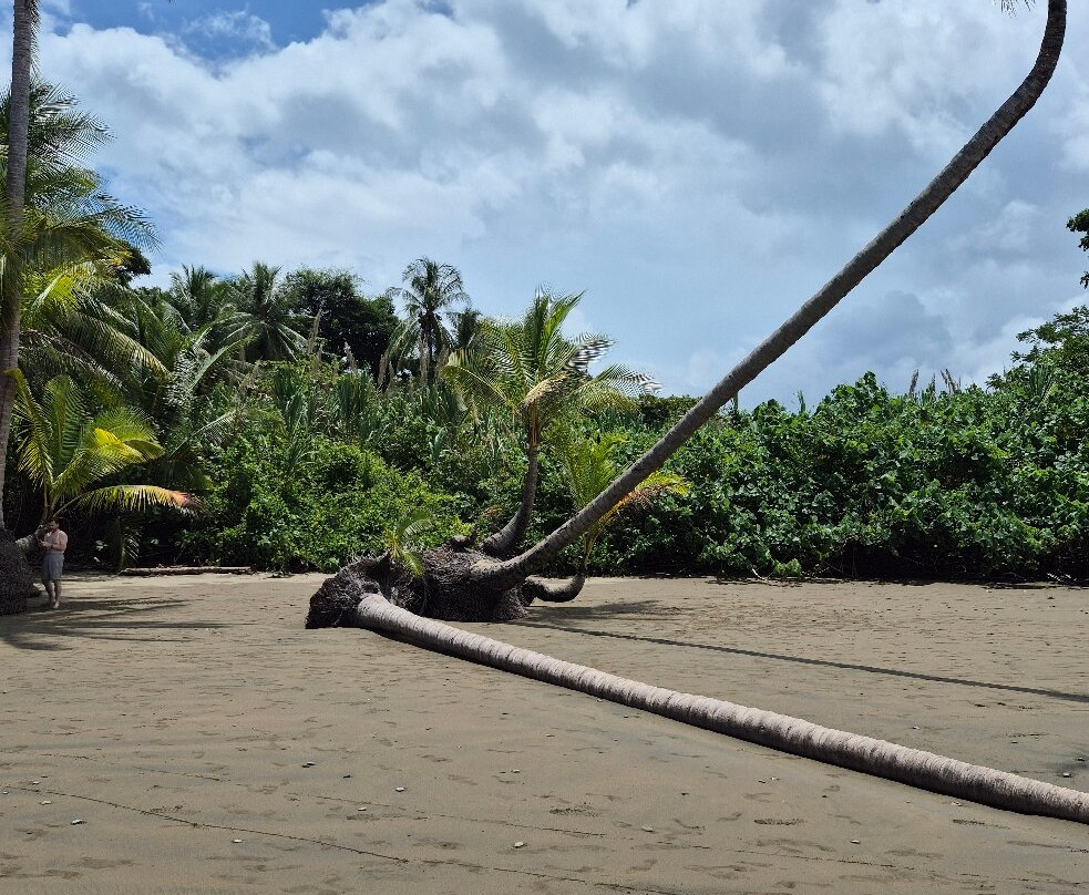 Uvita Beach-乌维塔必去景点