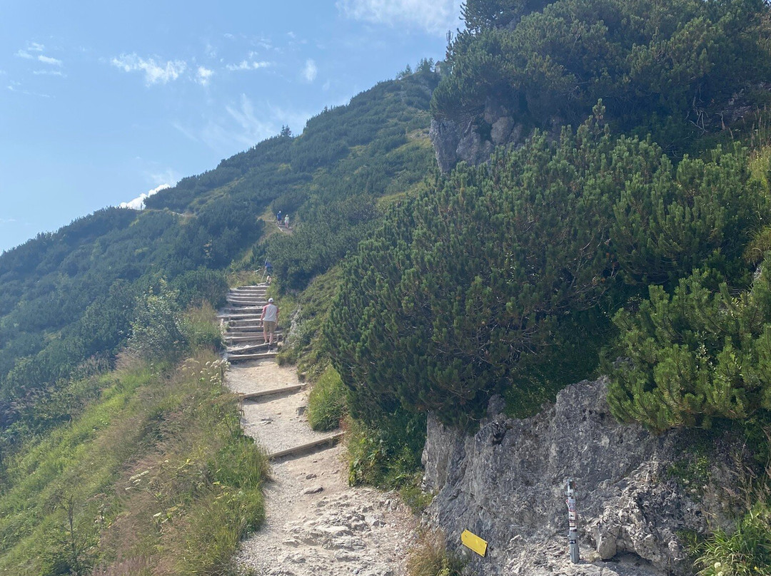 Jennerbahn-舍瑙阿姆克尼格塞必去景点