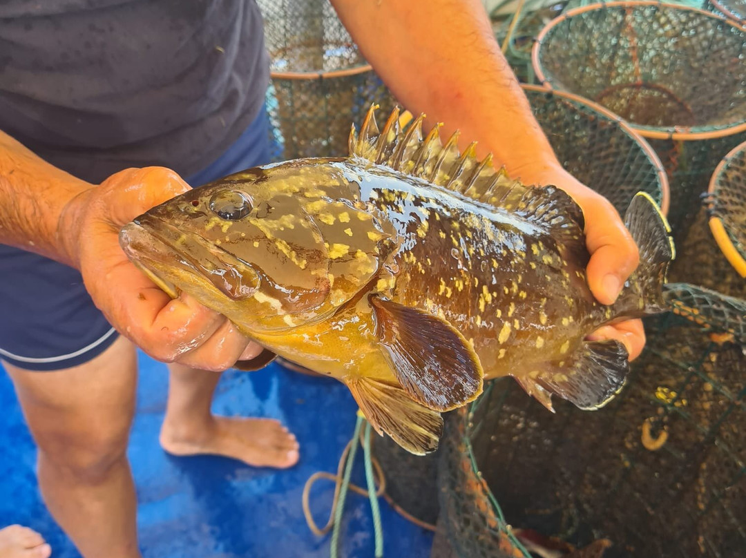 Pescaturismo K2-萨萨里省必去景点