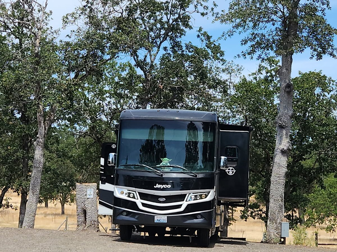 Alpacas at Lone Ranch-White City必去景点