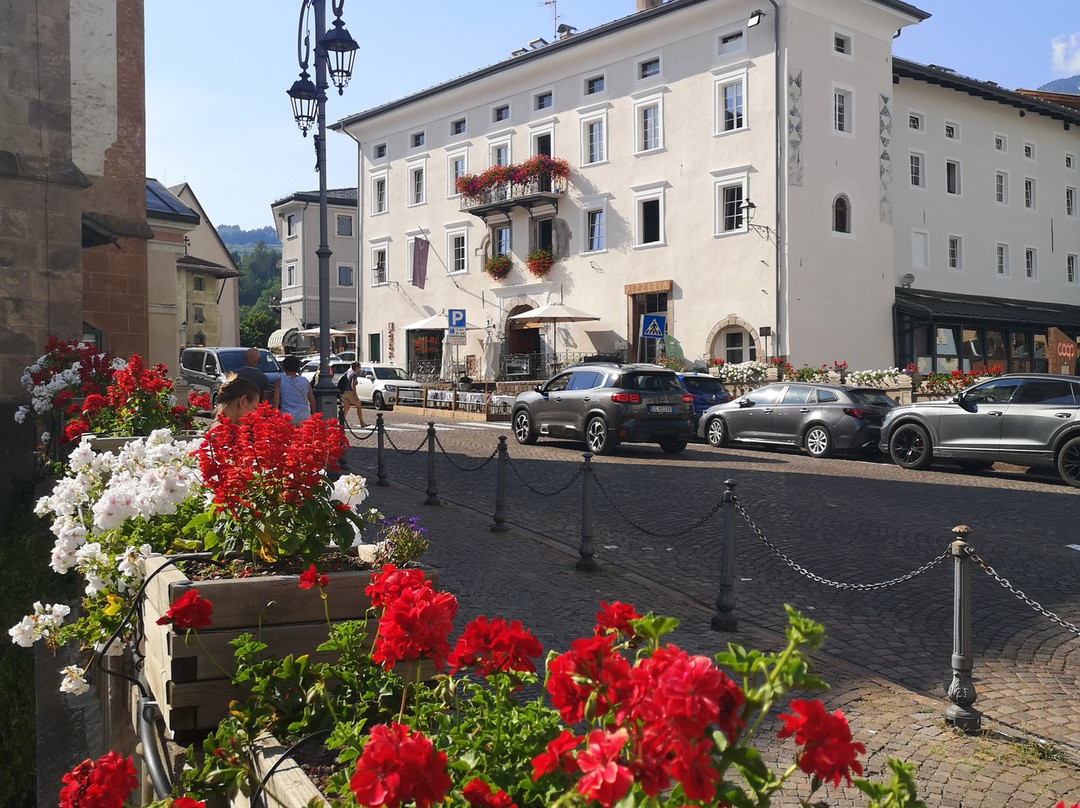 Hotel Excelsior主图