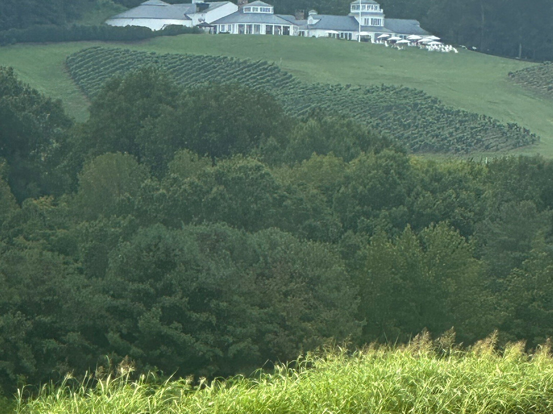 Trump Winery-夏洛茨维尔必去景点