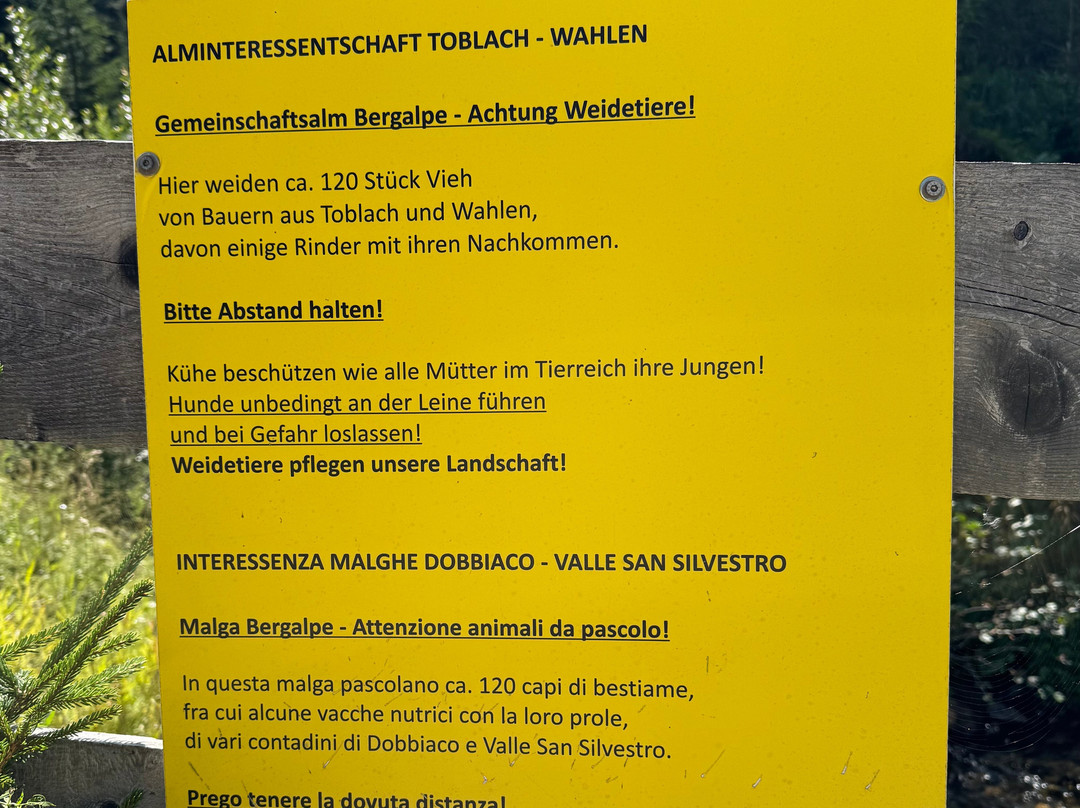 Escursione Estiva: Malga San Silvestro e Cappella di San Silvestro-多比亚科必去景点