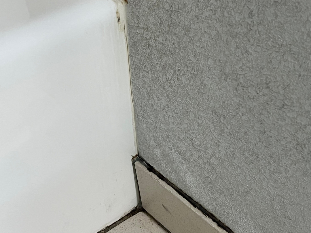 Best Western Plus Dockside Waterfront Inn主图