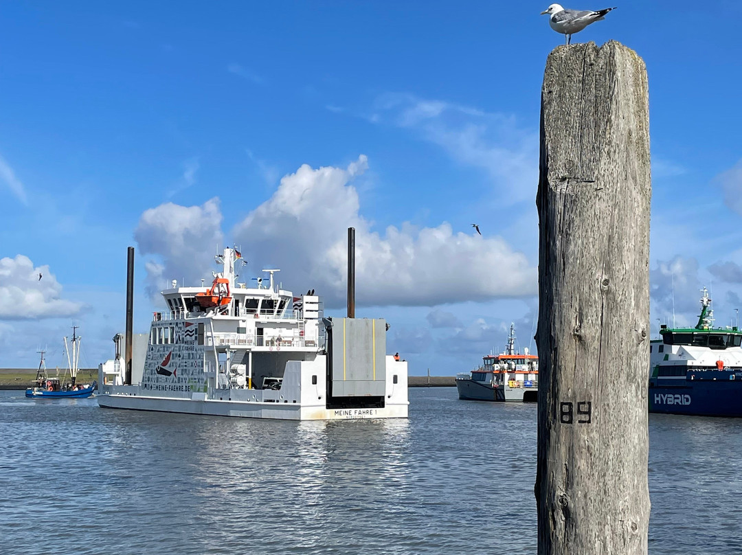 Meine Fähre Norderney-Norddeich必去景点