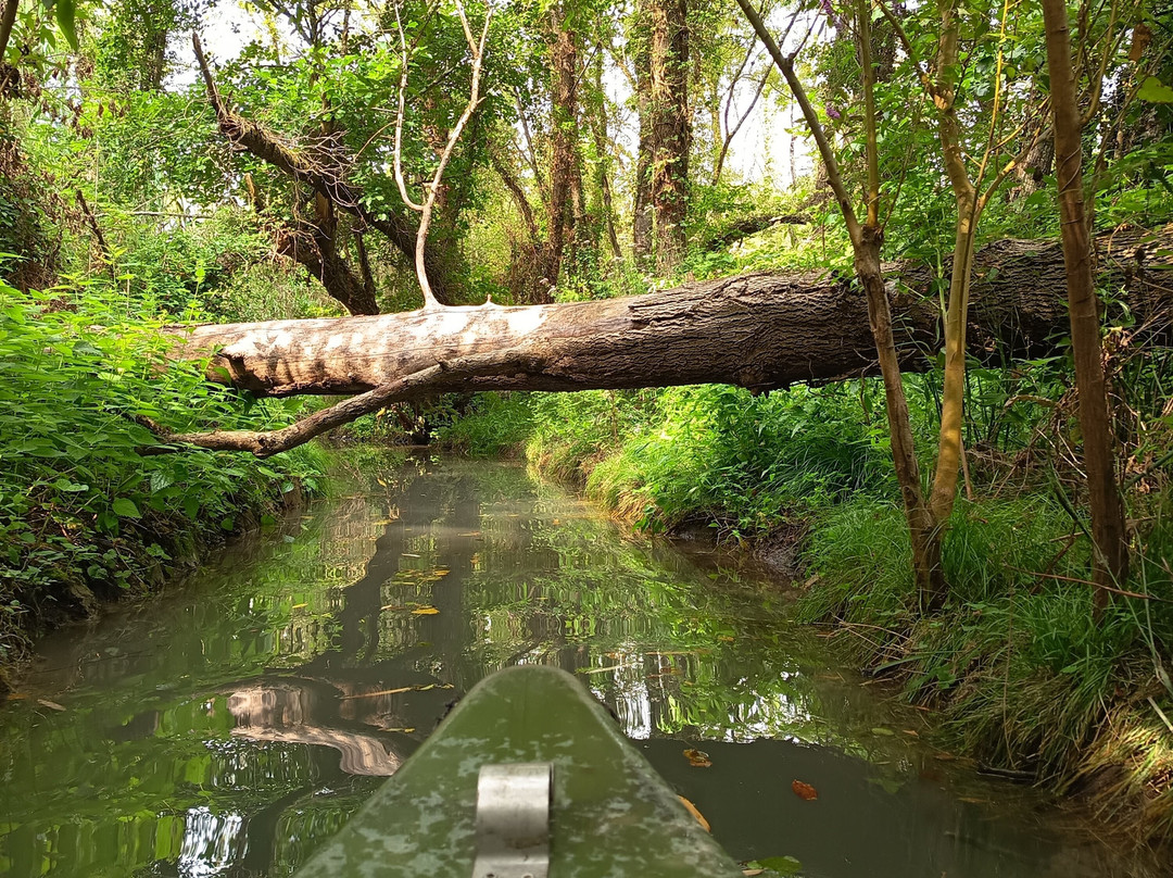 La Riviere de Chauvignac-Chenac-Saint-Seurin-d'Uzet必去景点