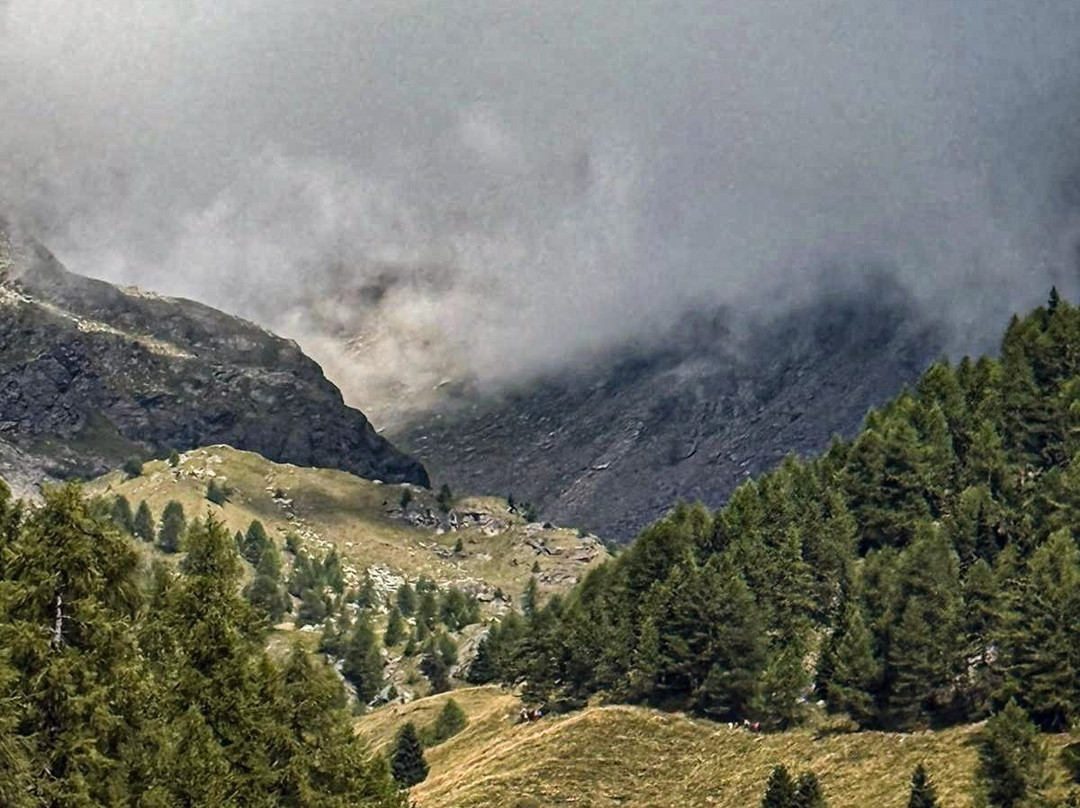 Parco Giochi Pejo Kinderland-Cogolo必去景点