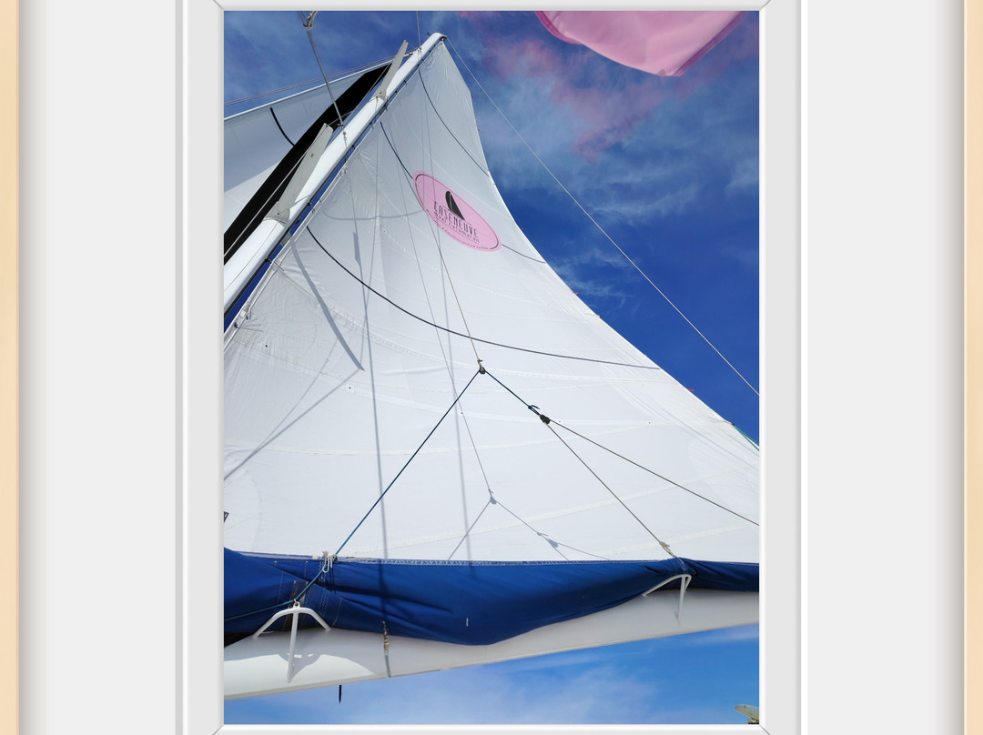 Caseneuve Maxi Catamaran-Baden必去景点