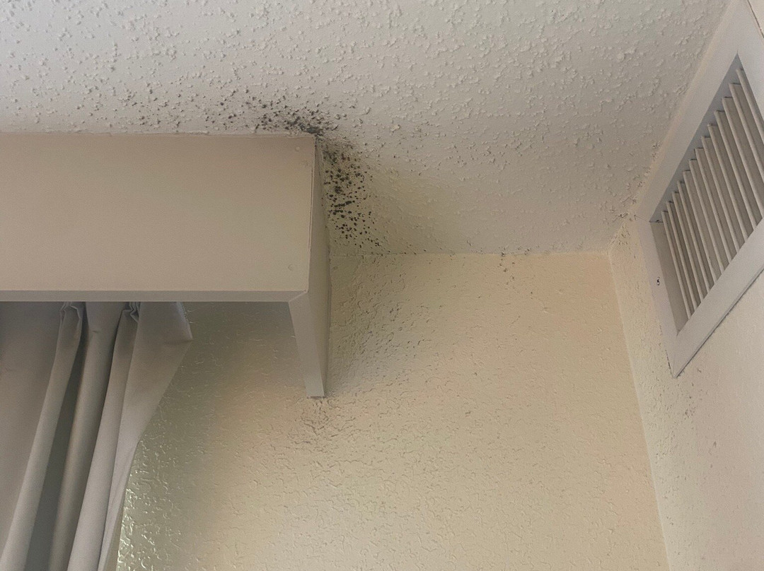 波士顿诺伍德原住客栈主图