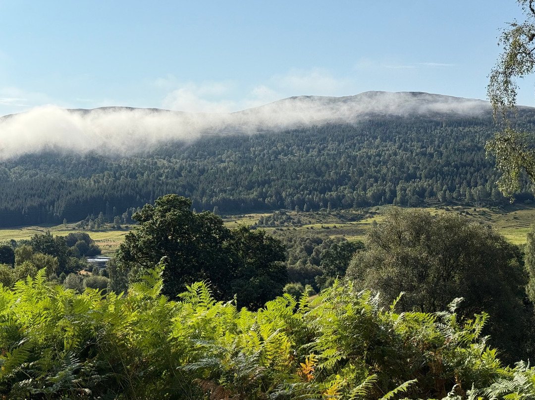 Dundreggan Rewilding Centre-因弗内斯必去景点