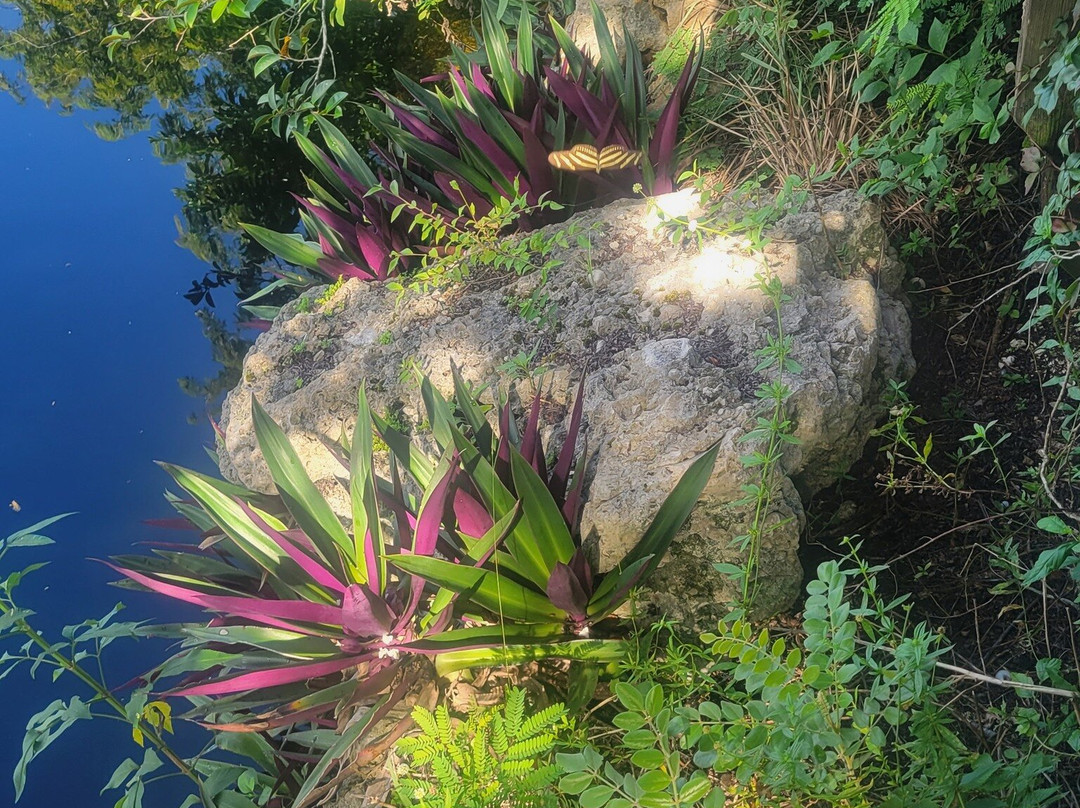 Big Cypress National Preserve-奥乔皮必去景点