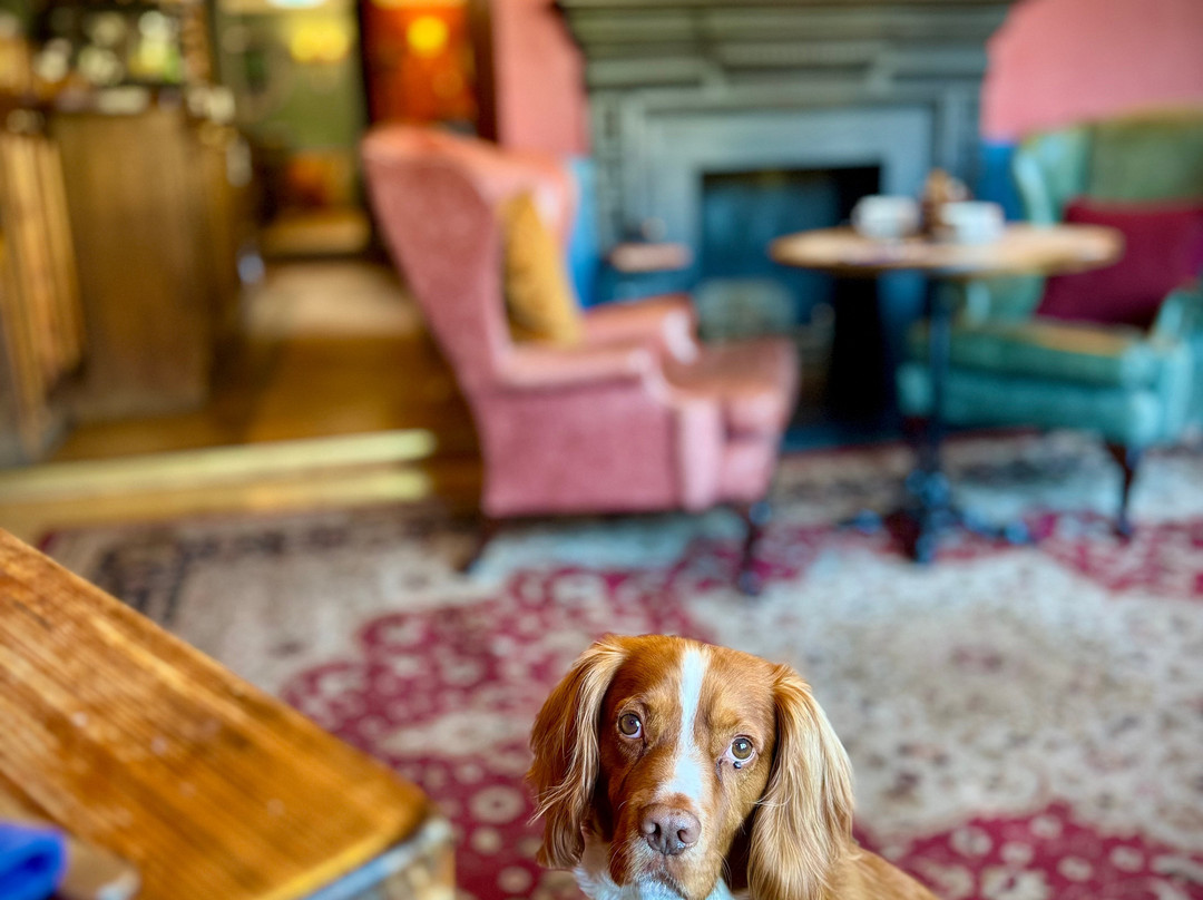 The Bear (Hotel)主图