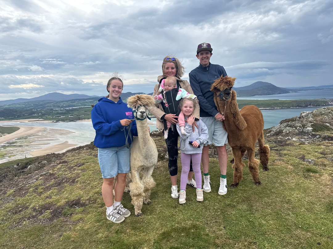 Wild Alpaca Way-Malin Head必去景点