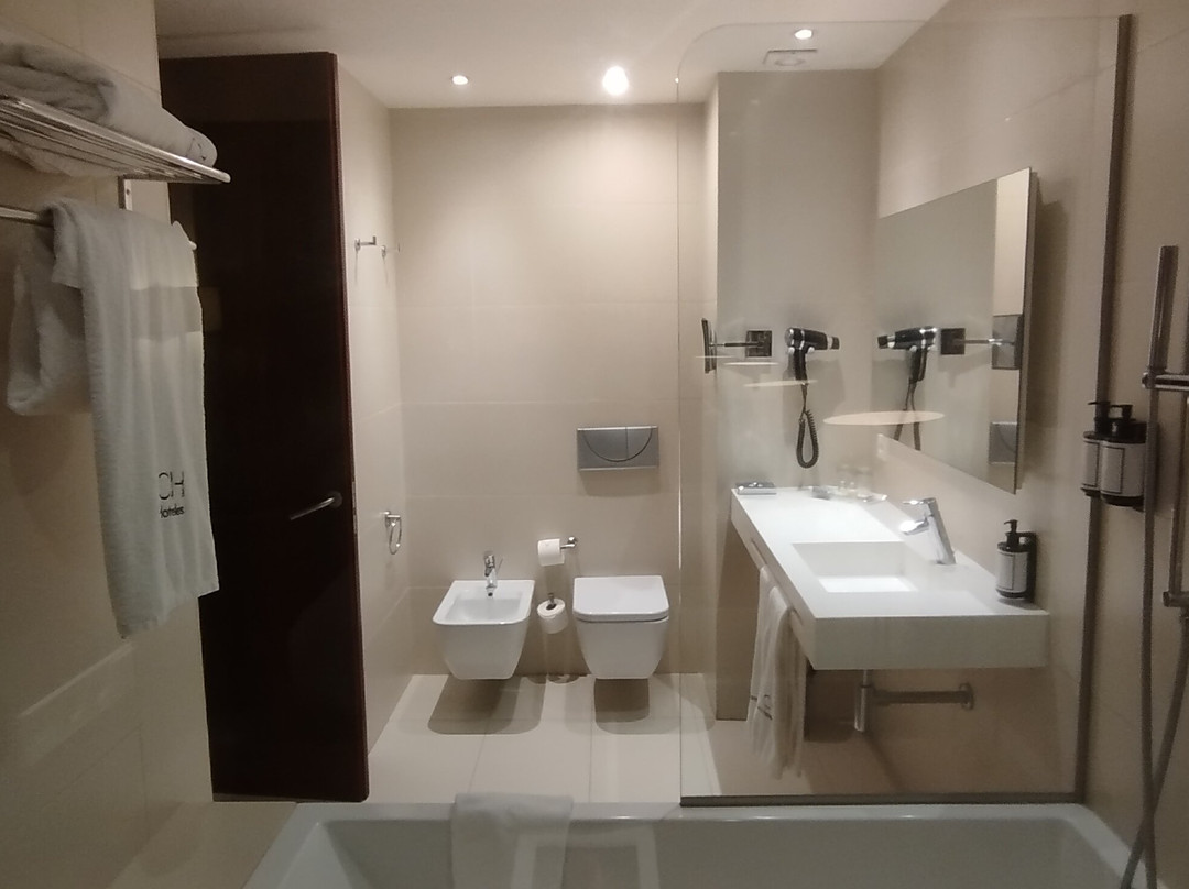 Hotel Carrís Marineda主图