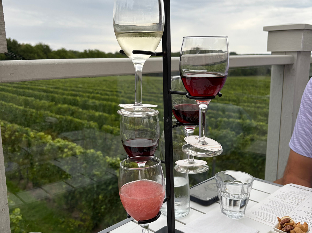 Brys Estate Vineyard & Winery-特拉弗斯城必去景点