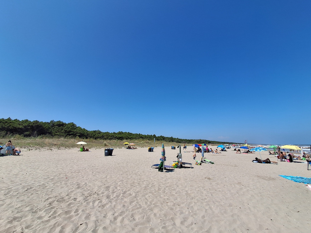 Camping Lido Di Classe