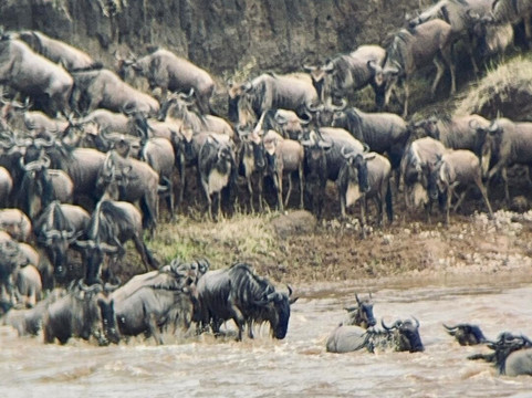 Lifestyle Safaris & Holidays Limited-阿鲁沙必去景点