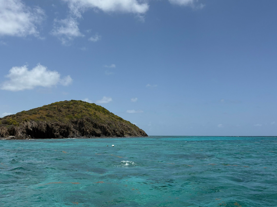 Big Beard's Adventure Tours-Christiansted必去景点