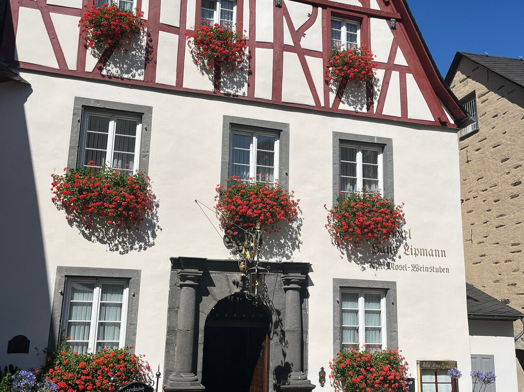 Parkhotel Cochem主图