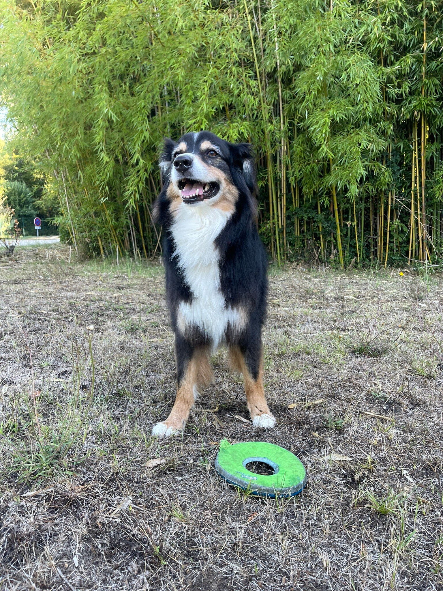 L'Oree Du Chateau-官方