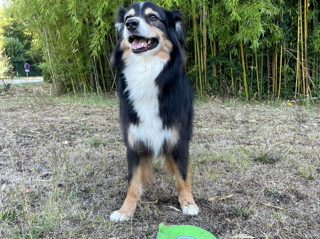 L'Oree Du Chateau主图