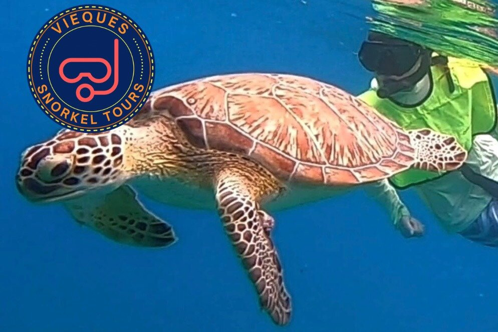 Vieques Snorkel Tours