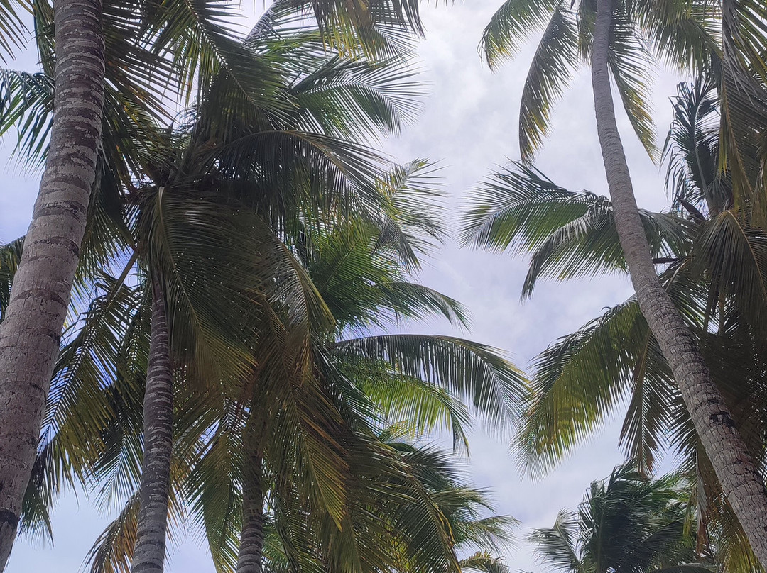 Italcruise-Bayahibe必去景点