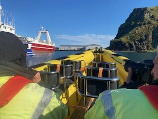 Ribsafari-韦斯特曼纳群岛必去景点