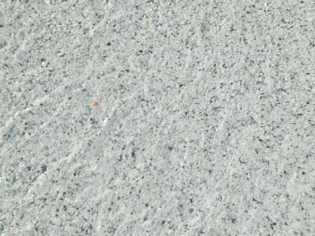 Kitezone Le Saline - Windsurfing Center Stintino-斯廷蒂诺必去景点