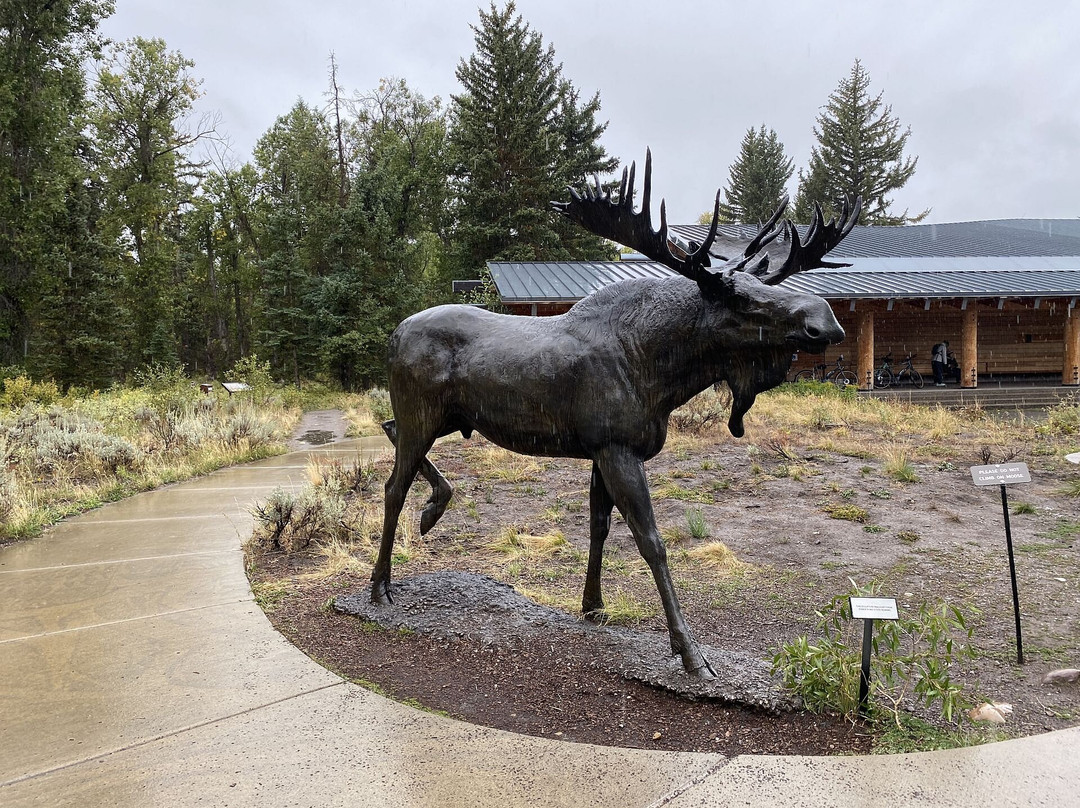 Craig Thomas Discovery & Visitor Center in Moose-大提顿国家公园必去景点