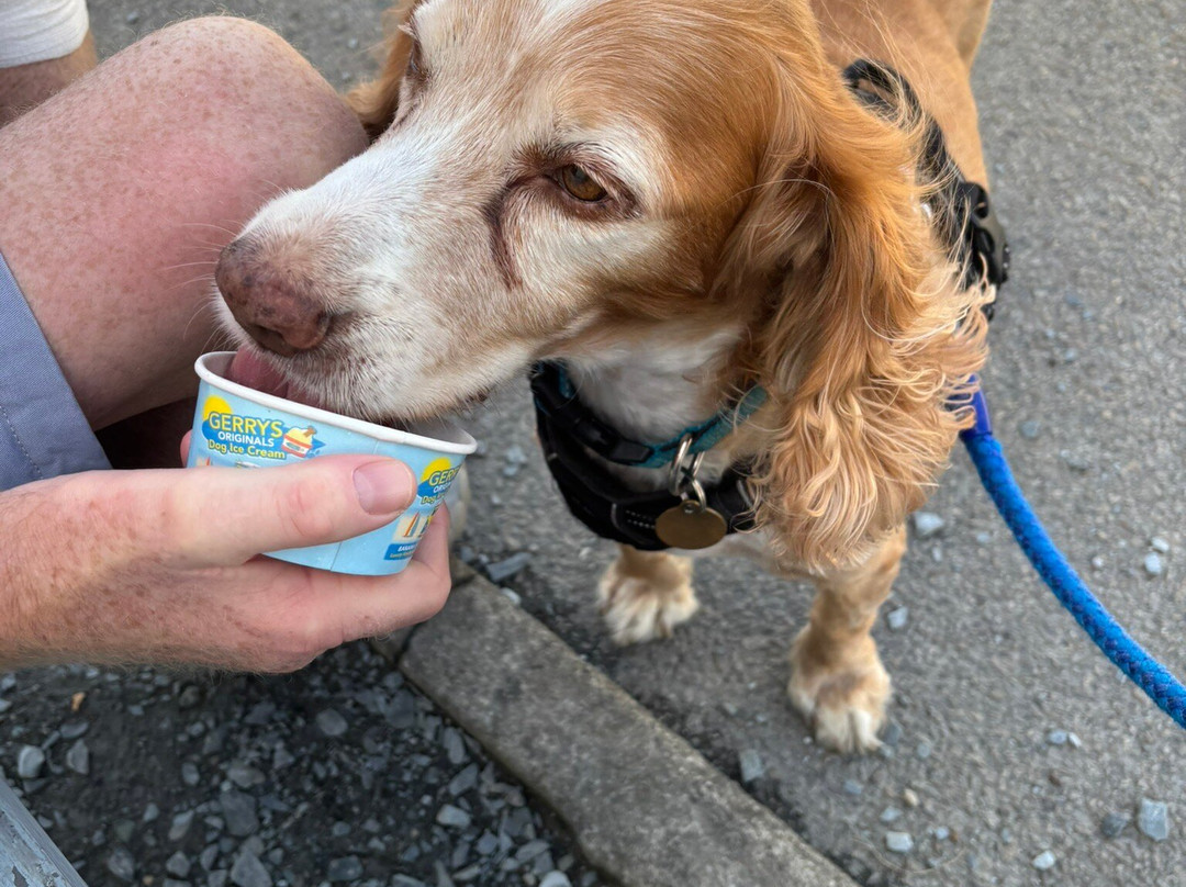 Boscastle Harbour-Boscastle必去景点