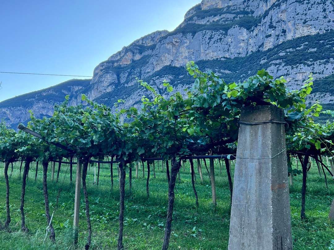 Agriturismo Revena主图