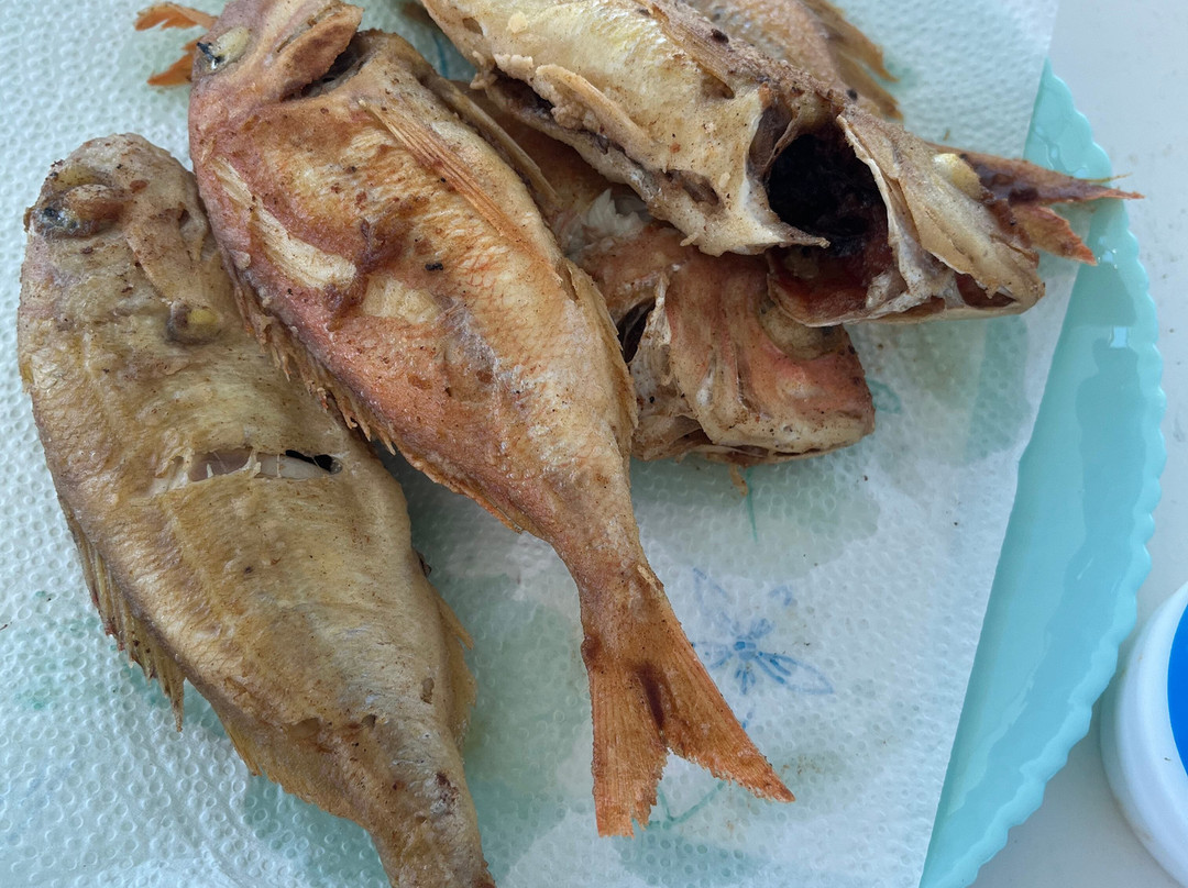 Zeppos Fishing Tours-纳乌萨必去景点