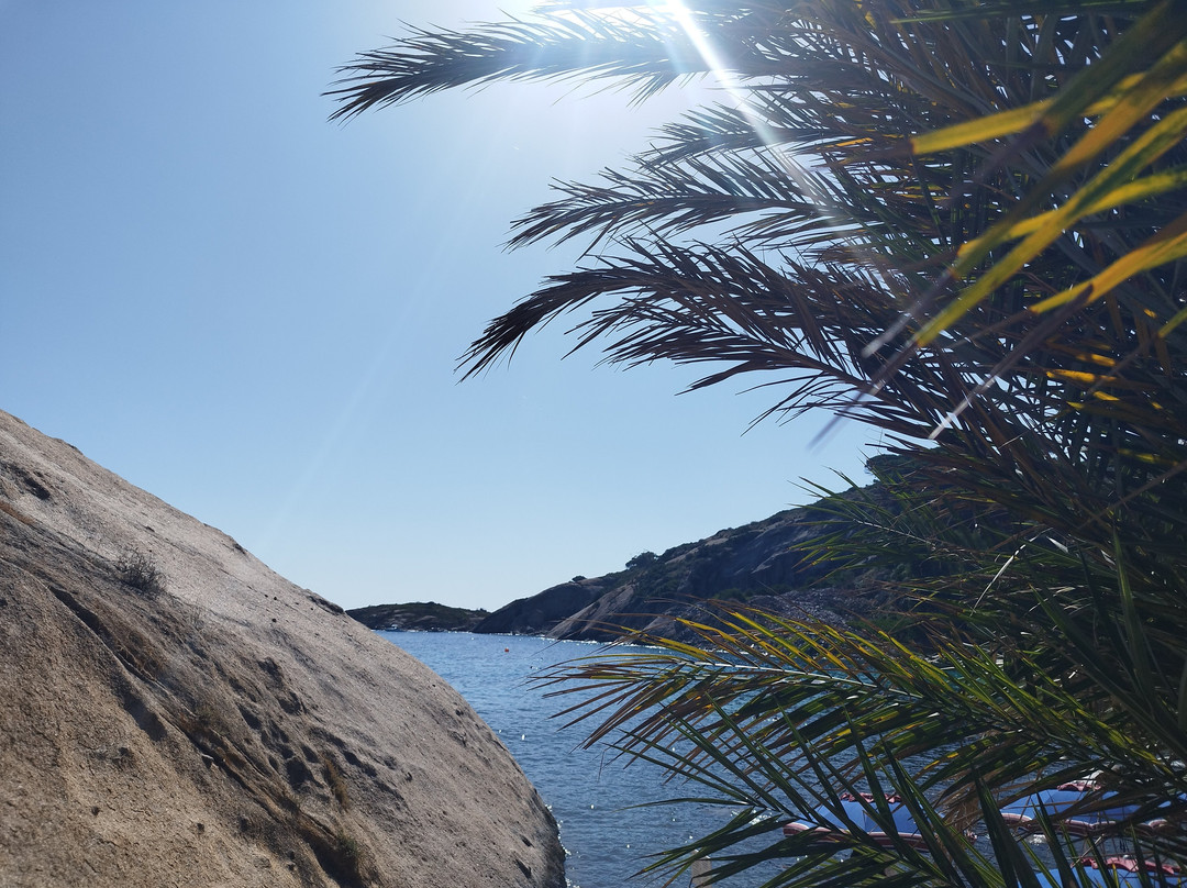 Spiaggia Arenella-Isola del Giglio必去景点