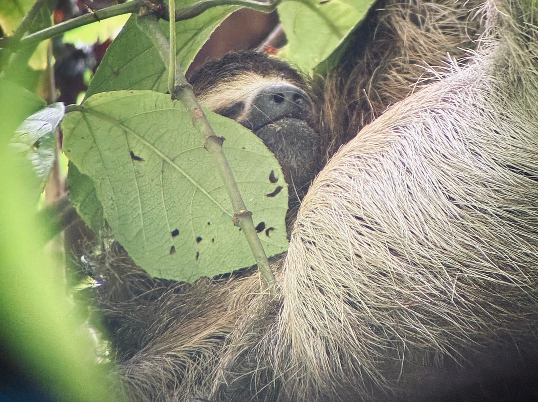 Rancho Tropical-希门尼斯港必去景点