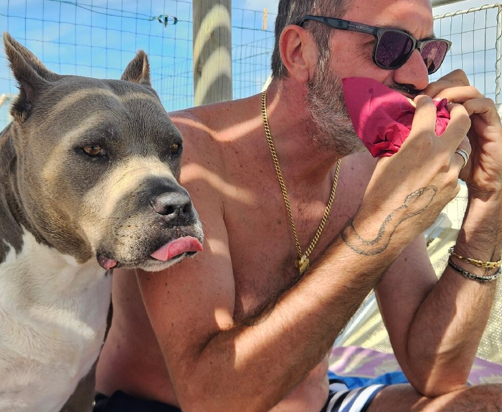 Baia Canaria-塞尼加利亚必去景点