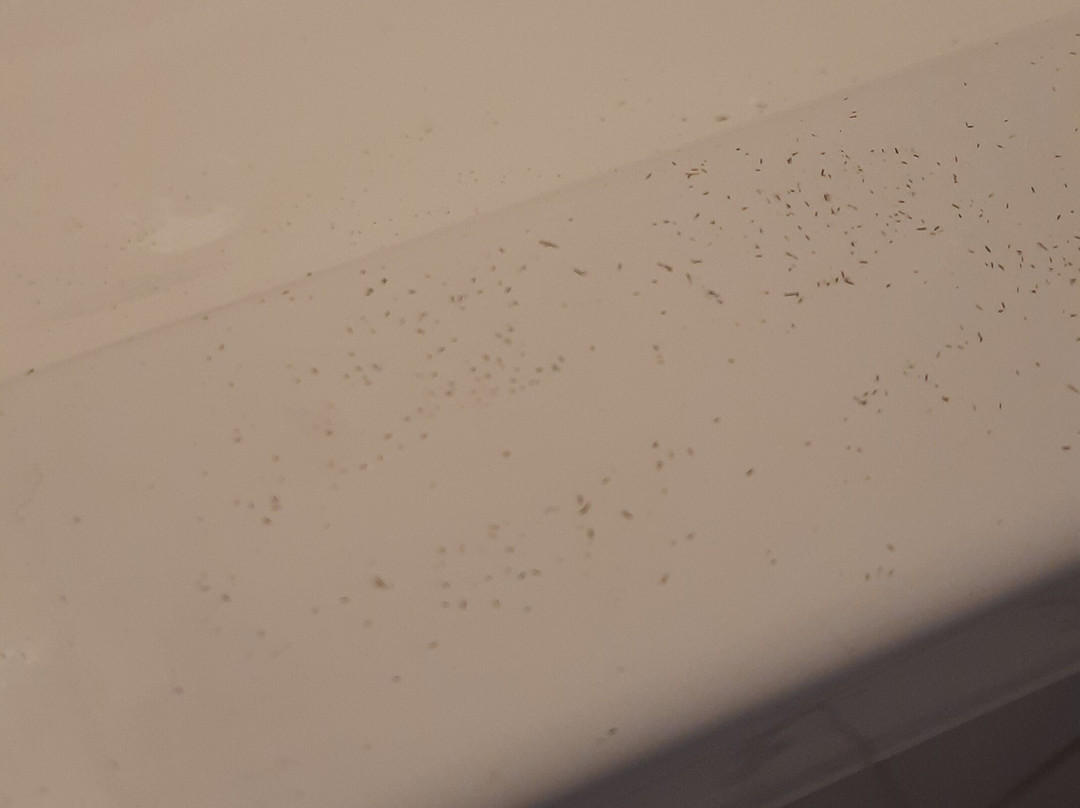 Le Meix Des Fort主图